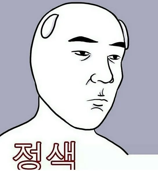 정색 무표정 어이없음 한심 극혐 빡침 갑분싸 싸늘 정색짤 화남