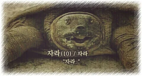 자라