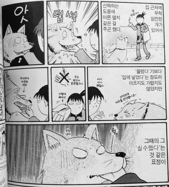 실수했다 개 미안 쏘리