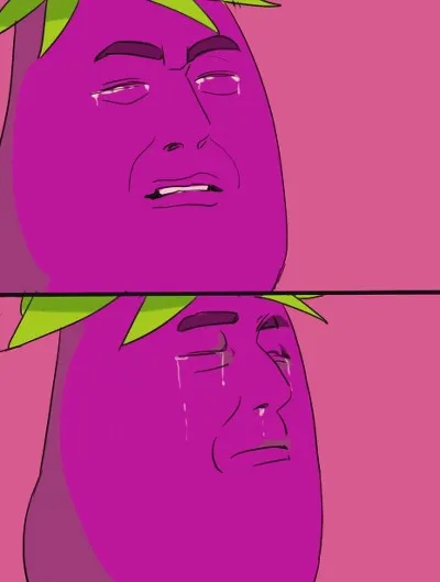 가지 ㅜㅜ 눈물가지