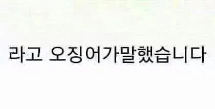 오징어왈