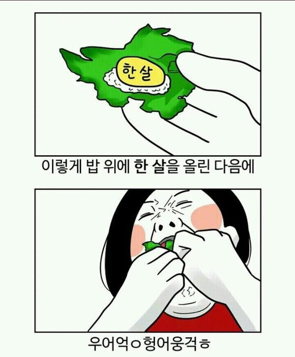 한살 1살 보쌈 상추쌈 나이쌈 나이 나이짤 새해 새해짝 한살드세요 나이먹는