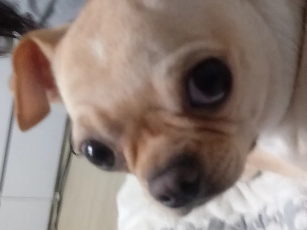아아아아아아아 확 그만해라