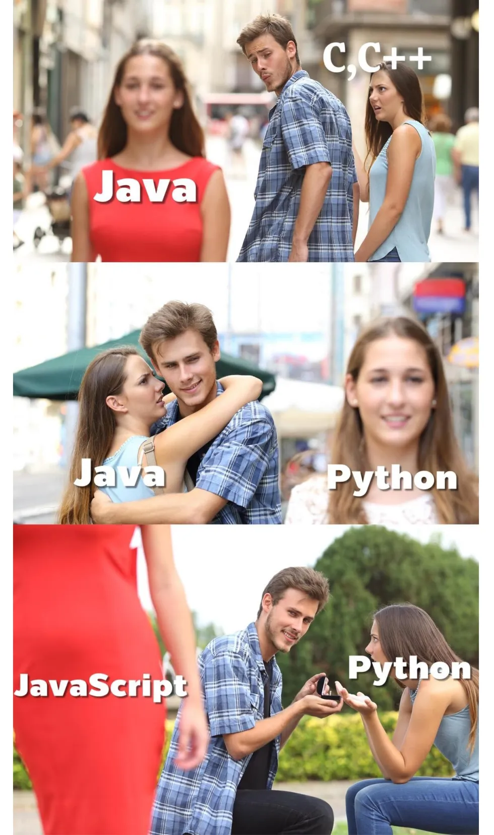 프로그래밍 언어 자바 C C++ 파이썬 자바스크립트 개발자