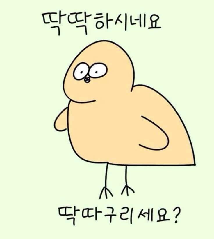 딱딱하시네요 딱따구리세요 딱딱 딱따구리