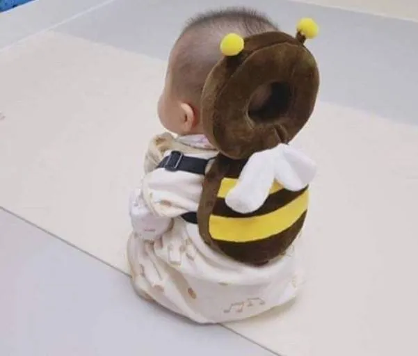 핵졸귀 꿀벌 졸귀 핵졸귀꿀벌