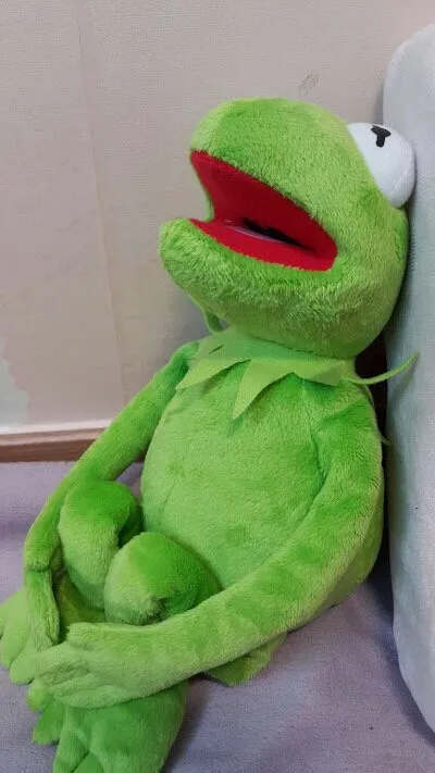허무 허탈 개구리 하아