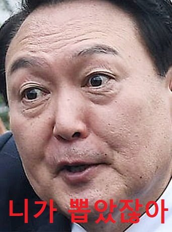 니가 뽑았잖아 윤석열 대통령 개돼지들아 찍어주고 이제와서 참고살아