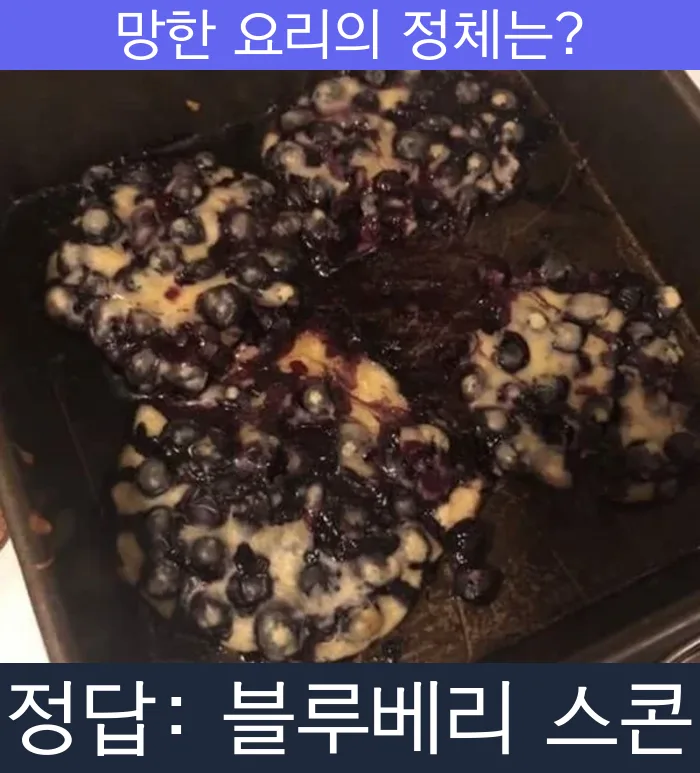 블루베리 스콘 망한요리 망한음식 실패요리 음식 요리
