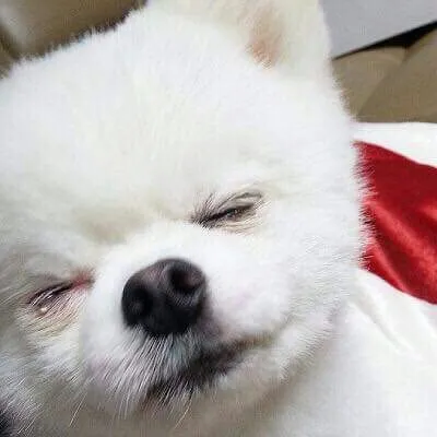 하...대자연...