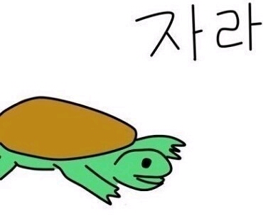 자라 잘자 거북이 잠 취침 밤 새벽 아재개그 언어유희 짤