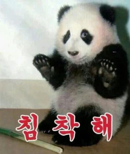 진정해 침착해 판다 침착 화