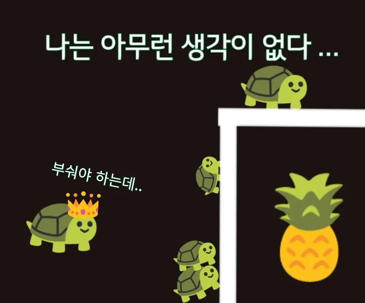 생각없음 거북이 파인애플 거북이들