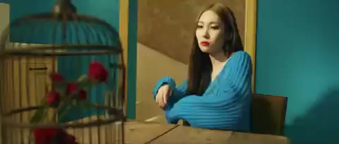 관심 관심 선미 새장 사이렌 뮤비 뭐지