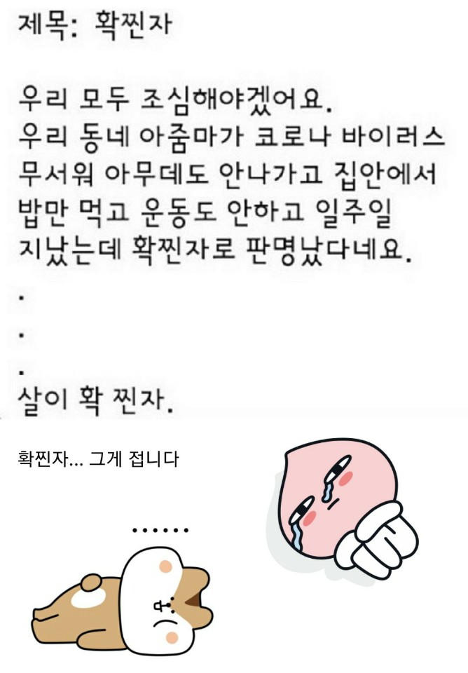 #확찐자 확찐자 코로나 다이어트 살 카카오프렌즈 어피치 무지 슬픔 웃픔 집콕