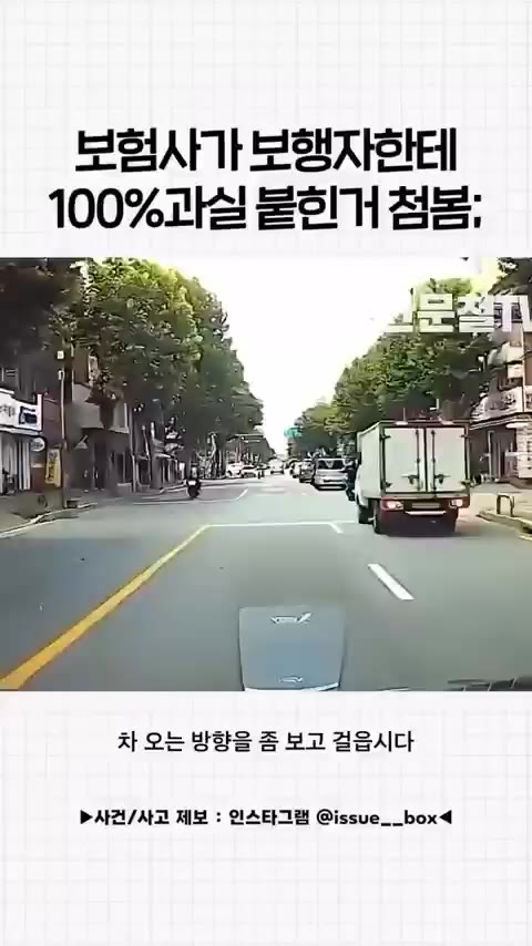 보행자 100% 과실 나왔다는 사고