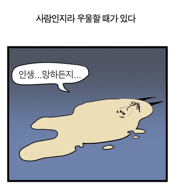 인생 망하든지 우울 포기 자포자기 귀찮음 귀차니즘