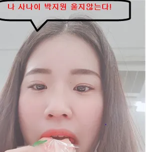 박지원 프로미스나인 사나이 울지않는다 먹방 슬픔 억울 웃김 원본
