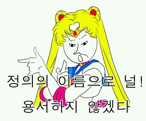 쎄일러문 정의의 이름으로 널 용서하지 않겠다