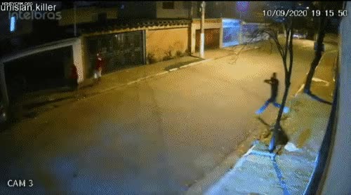자동차 총들고 강도질 하려다가 참교육 당함