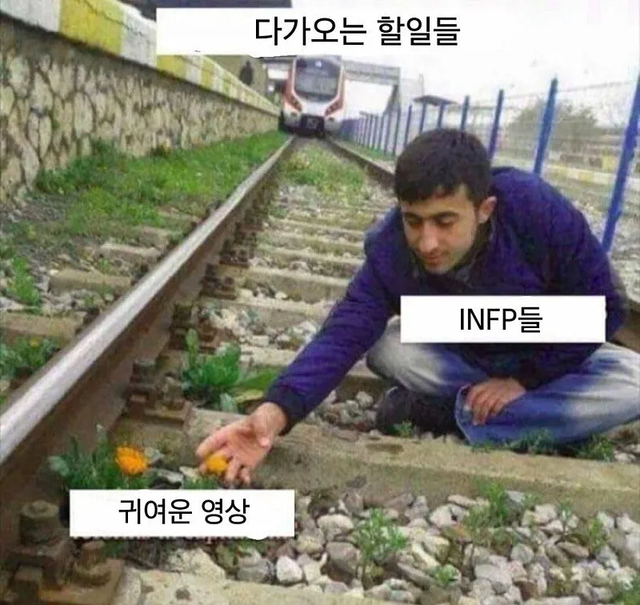 INFP MBTI 성격 유형 취향 mbti짤 mbti짤방 mbti타입
