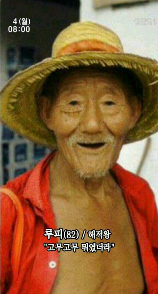 루피 해적왕 웃긴짤 고무고무 루피