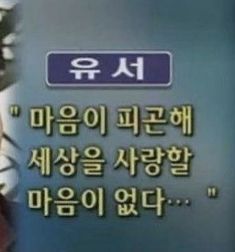 유서 마음이 피곤해 세상을 사랑할 마음이 없다 솔로 모쏠