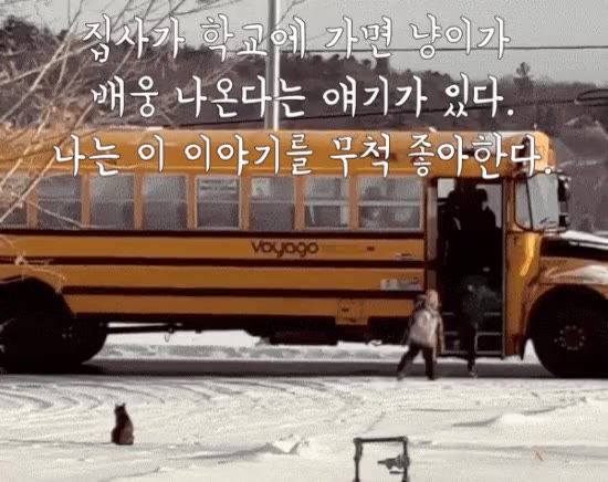 냥이 이야기