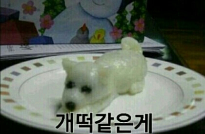 개떡 왕왕 강아지 멍멍 개