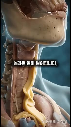 우웩