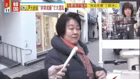 비상계엄 찬성 아줌마 일본 방송 인터뷰 영상