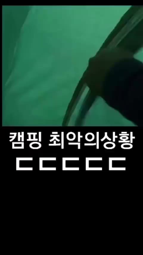 캠핑 최악의상황 야생동물 텐트 습격 공포 충격 ㄷㄷㄷ