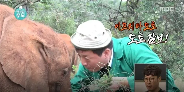 아프지마