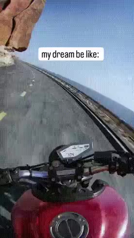 짤 짤방 모음