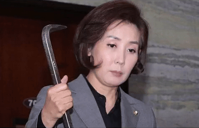 나빠루 나경원 빠루 국회 패스트트랙 비장 투쟁 대치 분노 무기