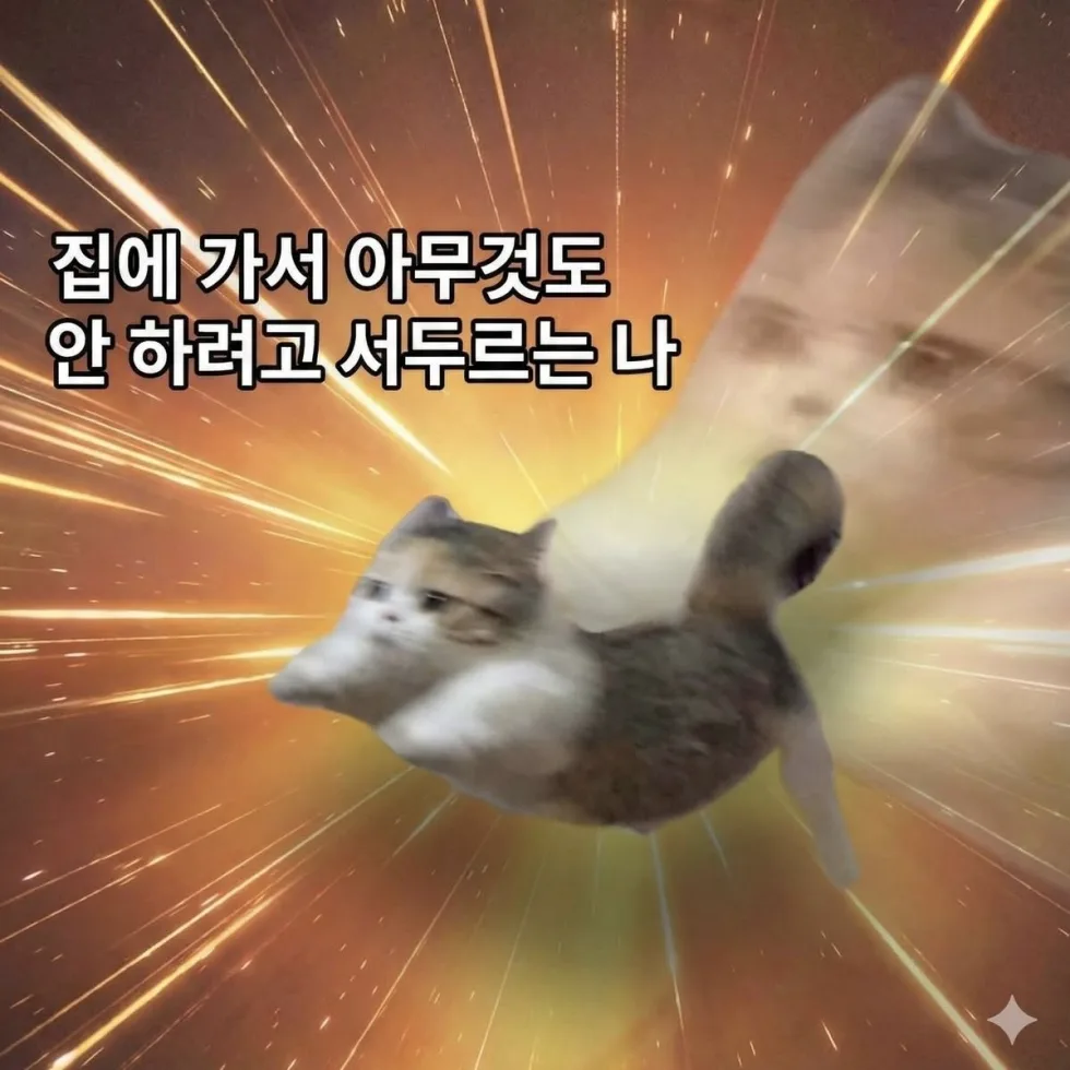 집에서 아무것도 안하기 햄스터 무기력