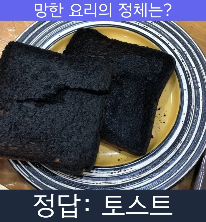 토스트 식빵 망한요리 망한음식 실패요리 음식 요리