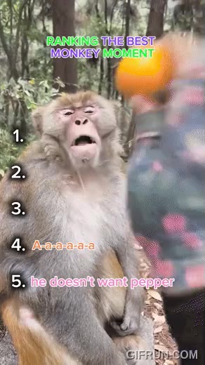 원숭이