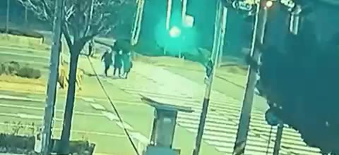 보행자사고 고라니 횡단보도 보행자 사고 돌진 충격 블랙박스 레전드 당황