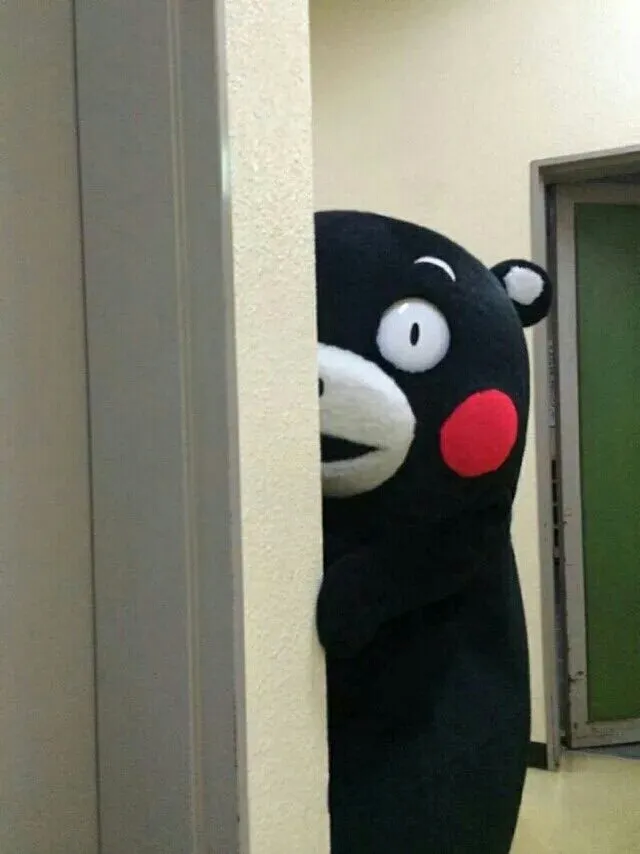 소심 벽 지켜보고있다 보고있다 쿠마몬