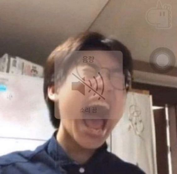 음소거 음량 소리끔 소리 빡침 화남