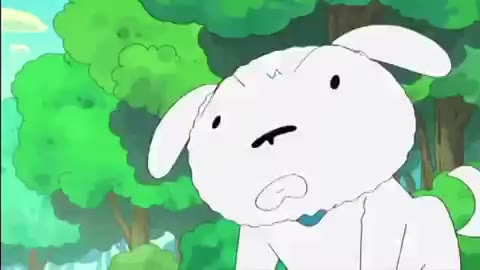 기겁 강아지 짱구 동물 애니