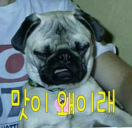 맛이 왜이래
