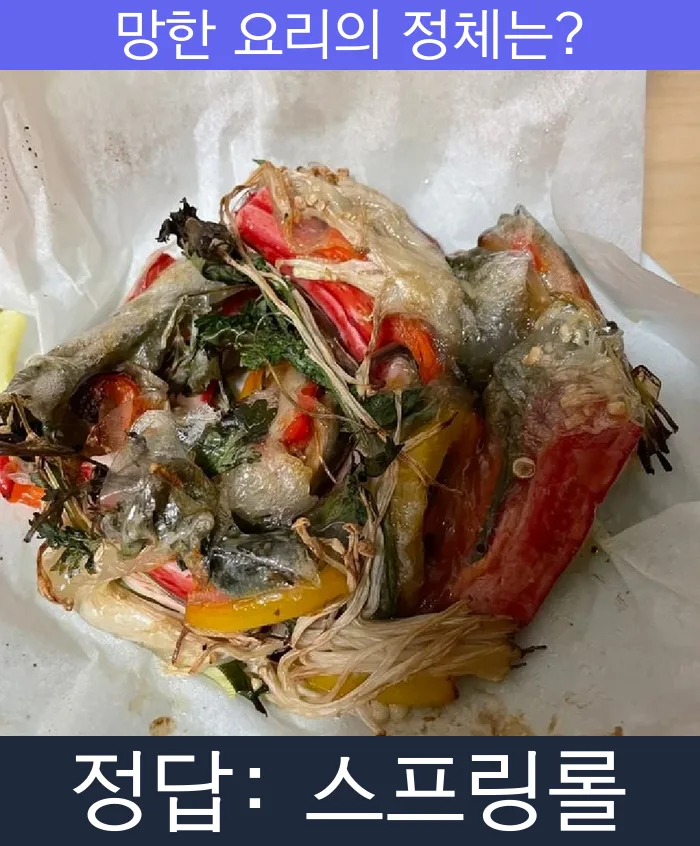 스프링롤 망한요리 망한음식 실패요리 음식 요리