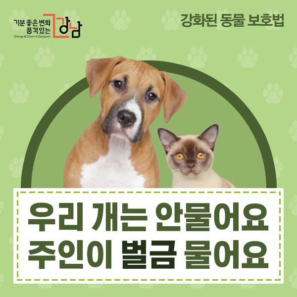 우리개 우리 개는 안물어요 주인이 벌금 물어요 강아지 동물보호법 팩폭 산책 풍자 웃긴짤