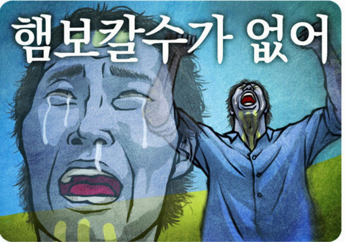 유감 햄보칼수없어ㅠㅠ 절망 슬픔