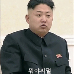 공유 도깨비 김정은 만능짤 움짤 뭐야 씨펄 시펄 손가락 북한