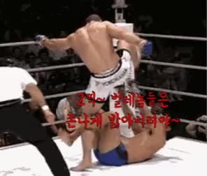2찍 벌레 윤석열 태극기