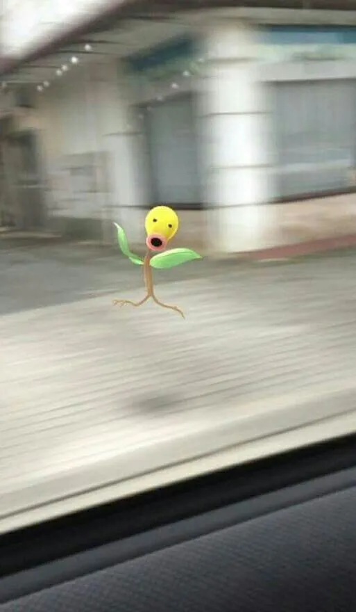 가취가욥 포켓몬고 가취가욥~~