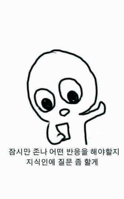 지식인 질문 무반응